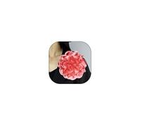 Large Fabric Rose Flower Brooch Lapel Pins for Women Bride 7.5in Big Satin Camellia Flower Brooches Pin Dress Suit Ceremony Accessories Wedding Prom Jewelry Gifts, Satin, no gemstone