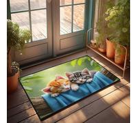 Large Fall Door Mat Two Cute Kittens Sleeping On A Branch Doormat Knock Before Entering Door Sign Plain Outdoor Mat(40X60CM)