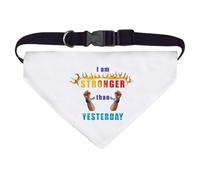Large 'Flames of Strength and Freedom' Dog/Cat/Pet Bandana (PD00057328)