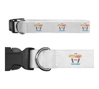 Large 'Flames of Strength and Freedom' Dog Collar (PR00057280)