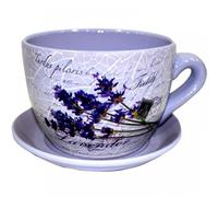 Decorative Novelty Terracotta Tea Cup and Saucer Shaped Garden Patio Flower Planter Plant Pot Tub Large Floral Purple Flower Design