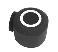 Large Foam Windshield Sponge for Hand Interviews