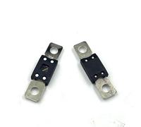 Large Fork Bolt Automobile Holder+ Fuse High Power 300A 350A 400A 450A 500A 1Pcs(Fuse 1pcs,300A)