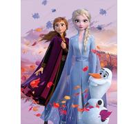 Large Frozen Frozen Blanket, Fluffy Blanket, Dreamteam 130 X 170cm, Super Soft Fleece Blanket Blanket, Cuddly Blanket, Disney Anna Elsa Olof Kristoffer Arendelle Completely Unfrozen Passport. to
