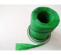 Large Full 200m Roll of Paper Raffia Ribbon 8mm Wide (Mint Green)