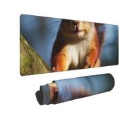 Large Gaming Mouse Pad Squirrel Funny Animal Desk Mat Protector for Desktop Mousepad Waterproof Writing Pads with Anti-Slip Rubber Base Keyboard Pad for Gamer Office Home 31.5" x 12"