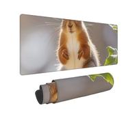 Large Gaming Mouse Pad Squirrel Funny Animal Desk Mat Protector for Desktop Mousepad Waterproof Writing Pads with Anti-Slip Rubber Base Keyboard Pad for Gamer Office Home 31.5" x 12"