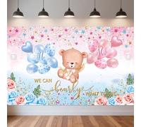 Large Gender Reveal Banner We Can Bearly Wait to See Bear Theme Backdrop He or She Gender Reveal Party Decor for Boy/Girl Baby Reveal Backdrop Photo Booth Background