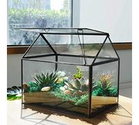 Large Glass Plant Terrarium Kit with Lip - Black Greenhouse for Succulents