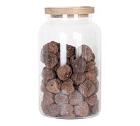 Large Glass Storage Jar with Airtight Acacia Lid - Large Food Storage Container for Kitchen Pantry Organization - Clear Glass Canister Set for Pasta, Rice, Flour, Cereal, Oats, Coffee Beans (1, 2.8L)