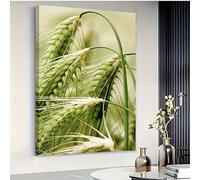 Large Green Barley Close-Up Classic Modern Farmhouse Wall Art with Solid Green & Grain Field Decor for Living Room(40x60cm/No frame)