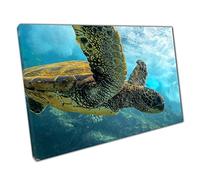 Large Green Sea Turtle Swimming Through The Ocean Sea Life Underwater Photography Wall Art Print On Canvas Picture For Home Office Decor 91x61cm (36x24In)
