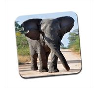 Large Grey African Elephant Walking Single Coaster