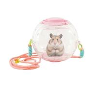 Large Hamster Ball Portable Transparent Silent Ball