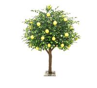 Large Handmade Simulated Fruiting Potted Topiary Tree, Vivid Faux Peach Lemon Red Berry Decor Tree for Residential Room, Commercial Lobby and Retail Store Display(B,1.8m x 1.2m)