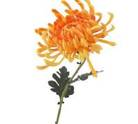 Large Heads Artificial Chrysanthemum Boho Silk Faux Flowers Bouquets Long Stem Flowers for Home Wedding Floral Decor (Orange)