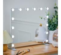 Large Hollywood Dimmable 14 LED Light Makeup Mirror