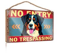 Large Home Sign No Entry No Trespassing Camper Decor Farmhouse Hanging Sign(15X28CM)