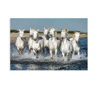 Large Horse Wall Art Pictures Animal Prints Running Horses Paintings Poster Canvas Poster Wall Art Decor Print Picture Paintings for Living Room Bedroom Decoration Unframe-style 12x18inch(30x45cm)