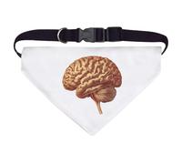 Large 'Human Brain Side View' Dog/Cat/Pet Bandana (PD00058598)