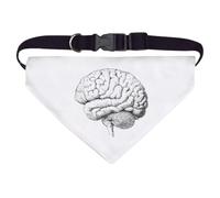 Large 'Human Brain Side View' Dog/Cat/Pet Bandana (PD00062704)