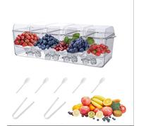 Large Ice Chilled Condiment Caddy, Clear Chilled Condiment Containers Server with Lids for 5 Removable Compartments, Serving Platters, Fruit & Garnish Tray for Party Supplies & Accessories (5 Grids)