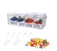 Large Ice Chilled Condiment Caddy, Clear Chilled Condiment Containers Server with Lids for 5 Removable Compartments, Serving Platters, Fruit & Garnish Tray for Party Supplies & Accessories (4 Grids)