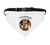 Large 'I'm not ghosting I'm just busy casting spells' Dog/Cat/Pet Bandana (PD00064076)