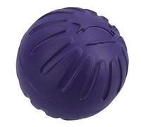 Large Interactive Play Durafoam Dog Puppy Ball Floating Toy-Assorted Colour