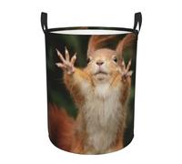 Large Laundry Hamper Freestanding Squirrel Funny Animal Laundry Basket Collapsible Waterproof Clothes Hamper Storage Basket Dirty Clothes in Living Room Bathroom Bedroom