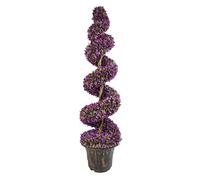 Large Leaf Artificial Spiral Tree with Decorative Planter