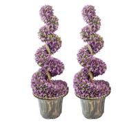 Large Leaf Artificial Spiral Tree with Decorative Planter