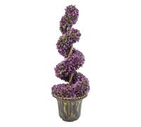Large Leaf Artificial Spiral Tree with Decorative Planter