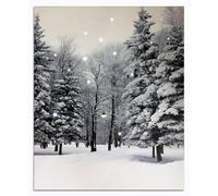 Large Lighted Winter Scene Canvas Wall Art with Timer, Optic Fiber LED Light Up Picture Run by Batteries, Snowy Forest Scene Poster Canvas Pictures，Lit Up Canvas Painting Ready to Hang for Wall Decor