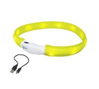 Large luminous led dog collars Nobby Pet Visible