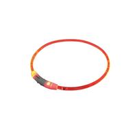 Large luminous led dog collars Nobby Pet Visible