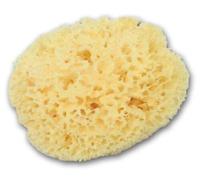 Large Luxurious Greek Silk Soft Natural Sea Sponge Adult Bath 6''- 6.5''