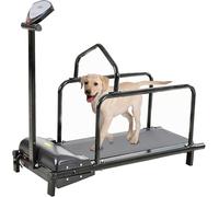 Large & Medium Dog Treadmill,Indoor/Outdoor Pet Exercise Machine with LCD Display Screen,Pet Walk Run Equipment Fitness Kit,Speed Range: 0.8-6 km/h,for Dogs up to 80kg