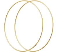 Large Metal Floral Hoop,Macrame Ring Wreath for Dream Catcher Crafts Ring and DIY Wall Hanging Crafts (Metal Hoop, 2 x 18inch)