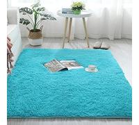Large Modern Plush Area Rug Soft Washable Bedroom Carpet Cozy Living Room Mat Sky Blue Fluffy Carpet for Dining Room & Bedroom (120x160cm)
