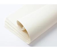 Large Multi Coloured Tissue Paper for Wrapping Gifts 50X75CM Acid Free Gift Tissue Paper Sheets for Packaging Coloured Tissue Paper Crafting for Kids 20 Assorted Colours Pack of 100 HTUK (Ivory)