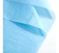 Large Multi Coloured Tissue Paper for Wrapping Gifts 50X75CM Acid Free Gift Tissue Paper Sheets for Packaging Coloured Tissue Paper Crafting for Kids 20 Assorted Colours Pack of 100 HTUK (Baby Blue)