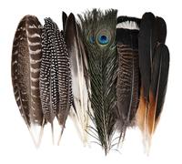 Large Natural Feathers Bulk-35PCS- 6 Styles Assorted Natural Feathers, Peacock Feathers, Pheasant Feathers, Turkey Feathers for DIY Crafts, Wedding, Crafting Supplies