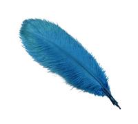 Large Ostrich Feather Fan 10Pcs/Lot 45-50cm Feathers for Crafts Wedding Party Decoration Handicraft Accessories Table Centerpieces Diy Large Plume(Lake blue)