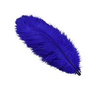Large Ostrich Feather Fan 10Pcs/Lot 45-50cm Feathers for Crafts Wedding Party Decoration Handicraft Accessories Table Centerpieces Diy Large Plume(Royal blue)