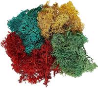 Large Pack Assortment Lichen