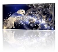 Large Painting by Numbers for Adults, Dream Owl Paint by Numbers for Children Kits, Without Frame DIY Canvas Oil Painting, Adult Crafts With Paint Brushes Acrylic Pigment, Home Decor 70x140cm w-638