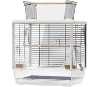 Large Parrot Transparent Cage, Ornamental Garden Bird Cage, Bird Nest With Food Box And Wooden Stand, Stainless Steel Bird Aviary Easy To Assemble(B)