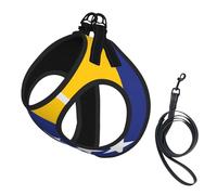 Large Pet Leash Vest & Dog Flag of Bosnia and Herzegovina Print Harness Set â€“ Soft, Light, Breathable Mesh for Small Dogs & Cats