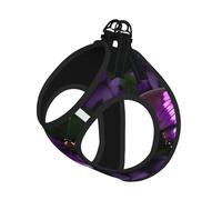 Large Pet Leash Vest Dog Harness - Small Sized Beautiful Purple Butterfly Print Leash Set with Buckle, Canine Companion Outdoor Travel Gear